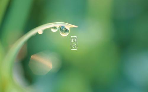 24节气雨谚