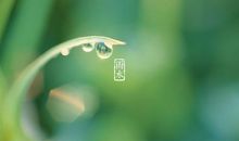 24节气之雨水谚语