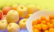 交通名言警句大全