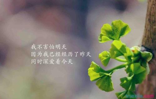2020年谈论情绪短语
