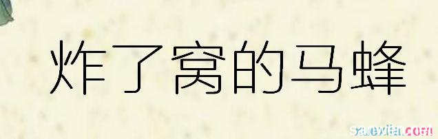 蜜蜂的巢语