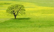 超酷的朋友圈说说