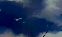 想一个人安静的说说