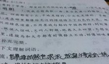 用即也造句大全