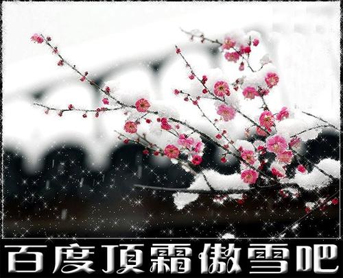 描述雪中梅花的句子