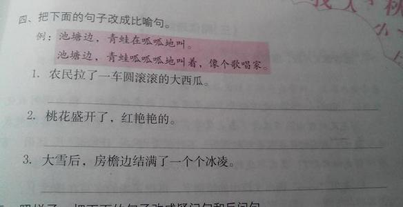 西瓜隐喻收藏