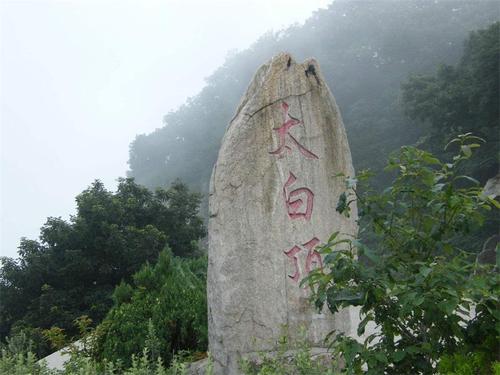 山形寓言