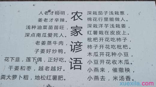 关于回报的谚语