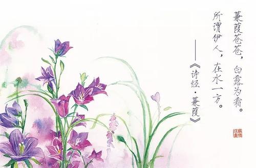 诗经中表达爱的句子