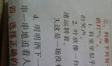 大山像什么比喻句