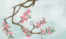 描写桃花的古风句子