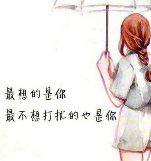 窦音短句优美