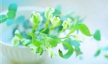 2020最经典的句子