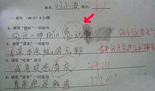 用可以也可以造句大全