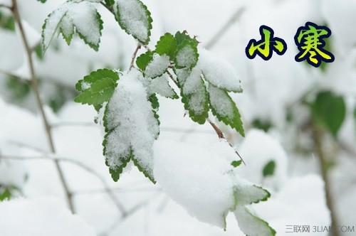关于农作物和季节的谚语