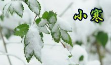 农作物与季节有关的谚语