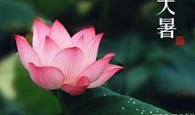 24节气有关大暑谚语