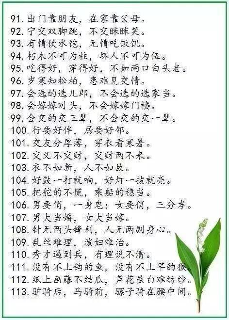 谚语意味着很多经验