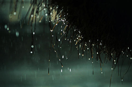 雨句