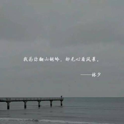 Tik Tok女孩的心句子
