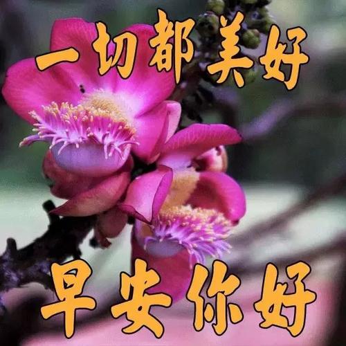问候短信2020