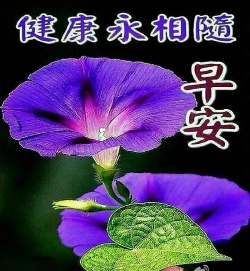 朋友的愿望2020