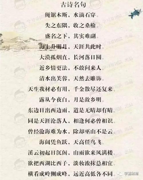 负责任的说法
