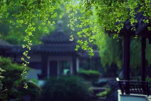 丽霞节谚语