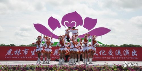 莲花节口号