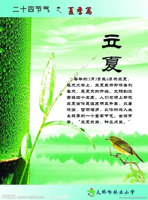 丽霞节气谚语