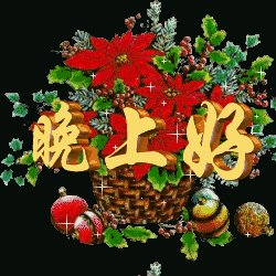 晚上好问候