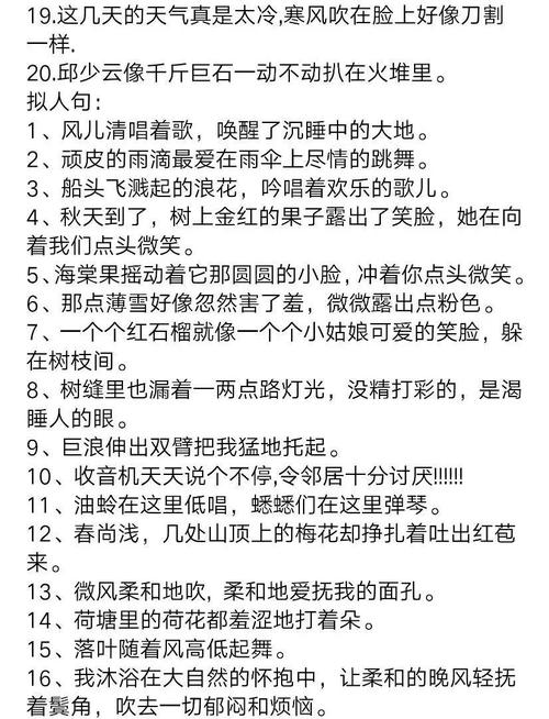 校园隐喻