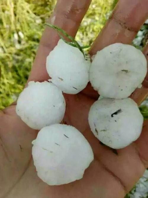 冰雹隐喻