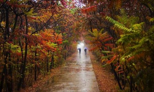 寓言形容秋雨
