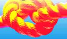 好的团队比赛口号大全