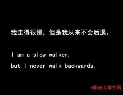 驾驶句子