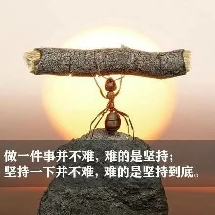 早安斗争