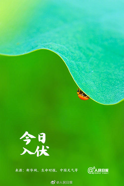 问候