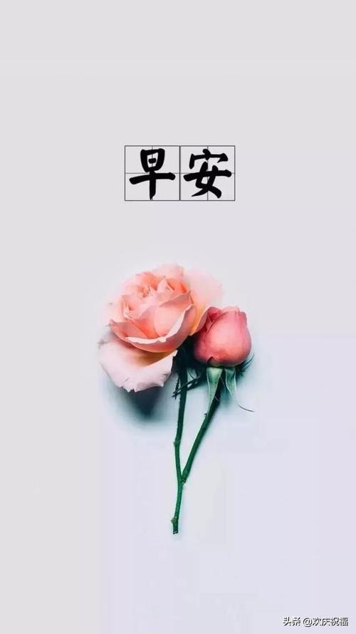 适合沮丧朋友的句子