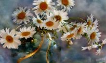 形容时间忘记不开心的句子说说心情 把所有不开心的事忘掉说说