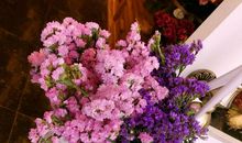 别人生日开心的祝福语句子 暖心的生日祝福语