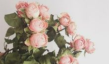 代表幸福的开心的句子 形容生活很幸福开心的句子