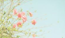 2020抖音风景说说