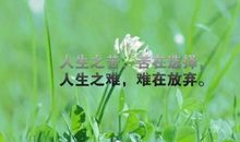 努力人生的句子