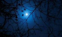 成熟而又稳重的句子