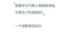 英文表白情话一段话