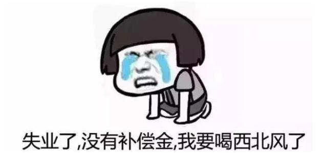 中年失业判决