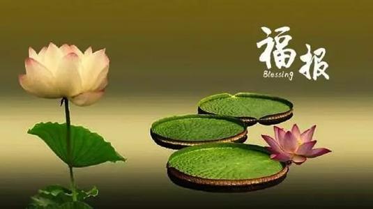 佛陀关于因果的著名句子