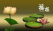 佛说因果的名句