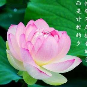 佛心禅200句